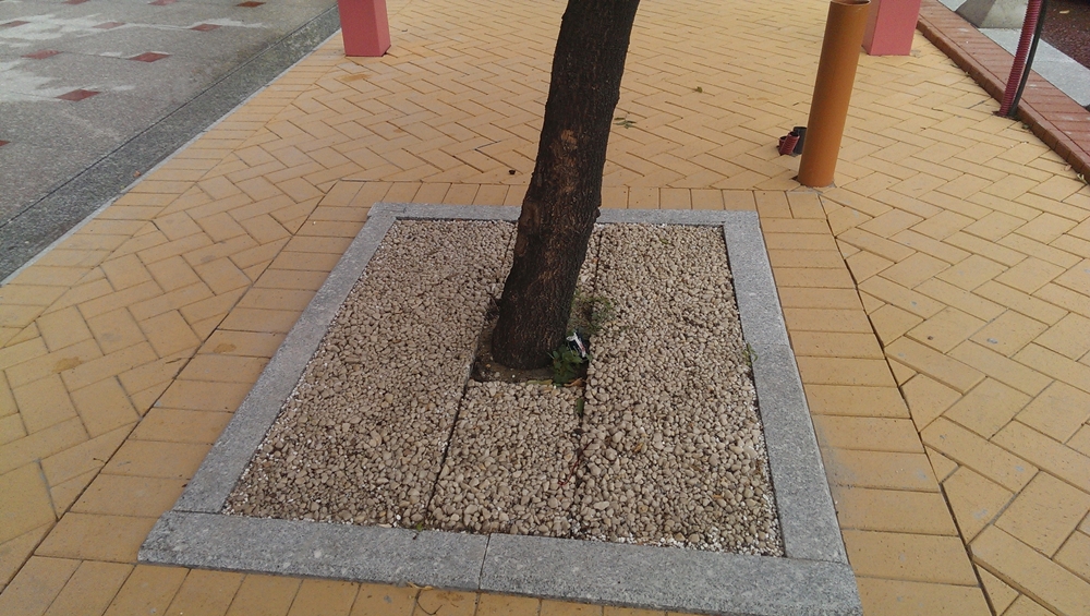 image-2014-11-8-18496060-0-unirii-2